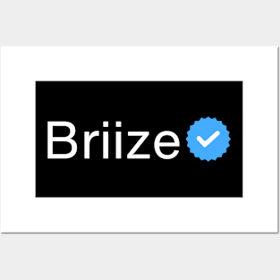 Verified BRIIZE Posters and Art